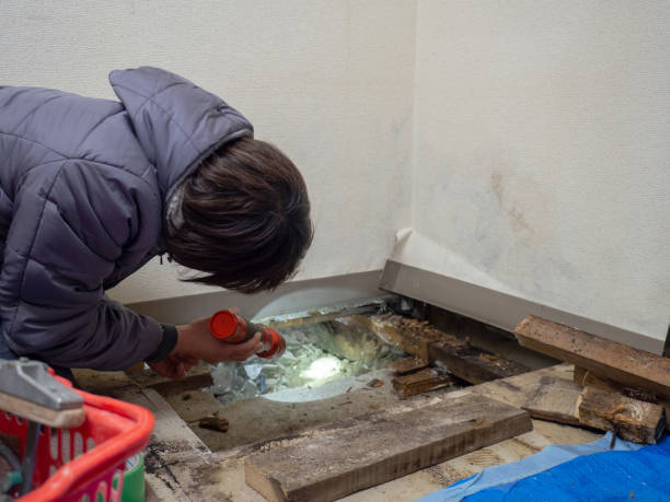 Best Real Estate Mold Inspection  in White Hall, WV