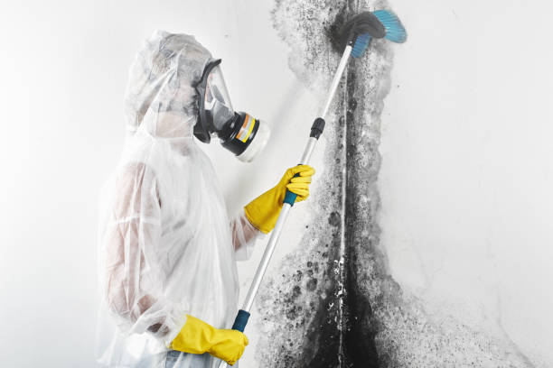 Best Post-Remediation Verification Testing  in White Hall, WV