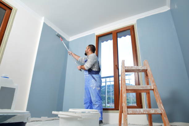 Best Black Mold Removal  in White Hall, WV