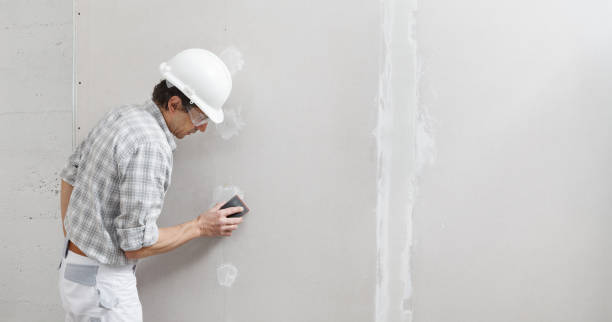 Best Environmental Consulting for Mold Prevention  in White Hall, WV