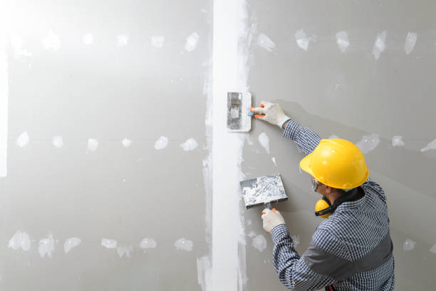 Best Post-Construction Mold Inspection  in White Hall, WV