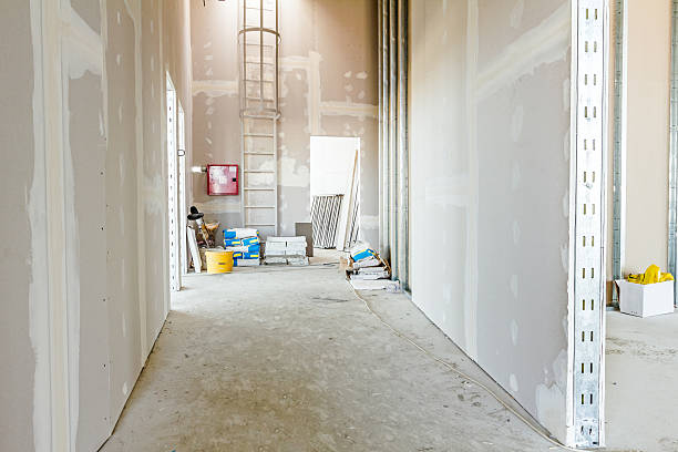 Trusted White Hall, WV Mold Removal Experts