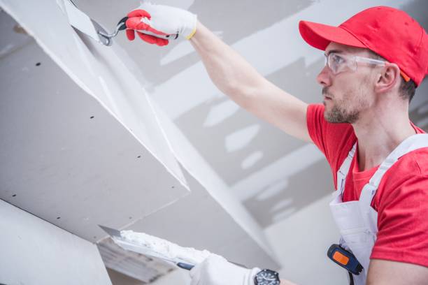 Best Emergency Mold Remediation  in White Hall, WV